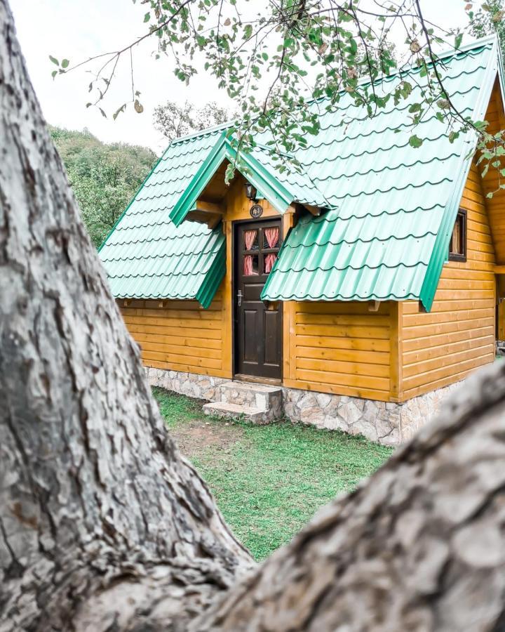 Rafting Camp Tara 87 Hotel Hum Kültér fotó